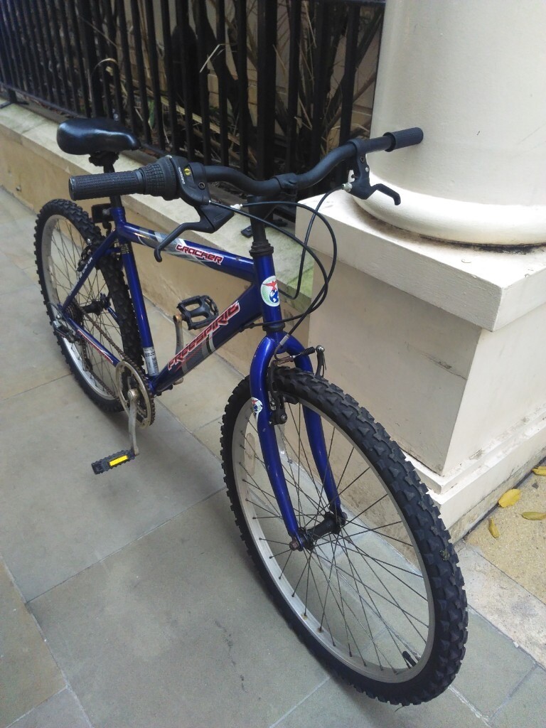 dyno d300 mountain bike